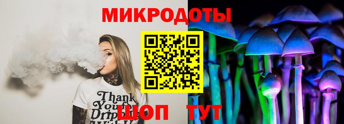 Псилоцибиновые грибы Psilocybe Сибай